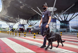 download-1-1-2-1 (10)