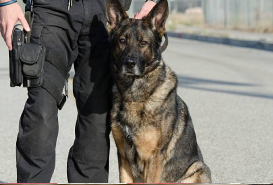 download-1-1-2-1 (11)