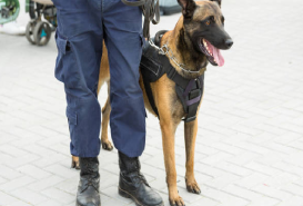 download-1-1-2-1 (12)