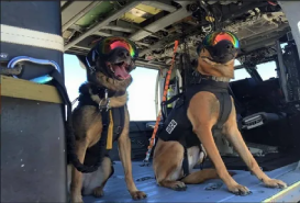 download-1-1-2-1 (13)