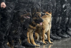 download-1-1-2-1 (14)